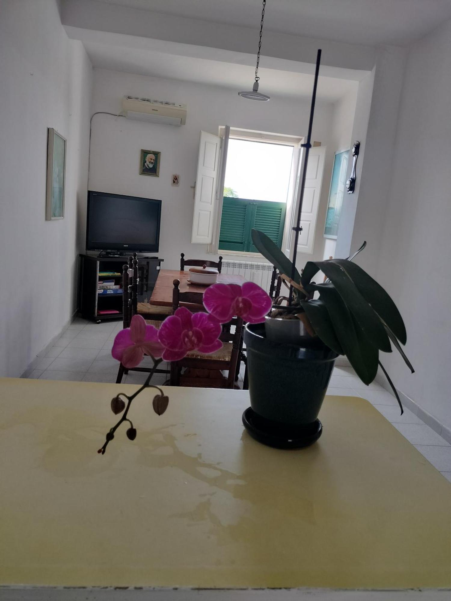 Sunny House Parghelia Exterior foto