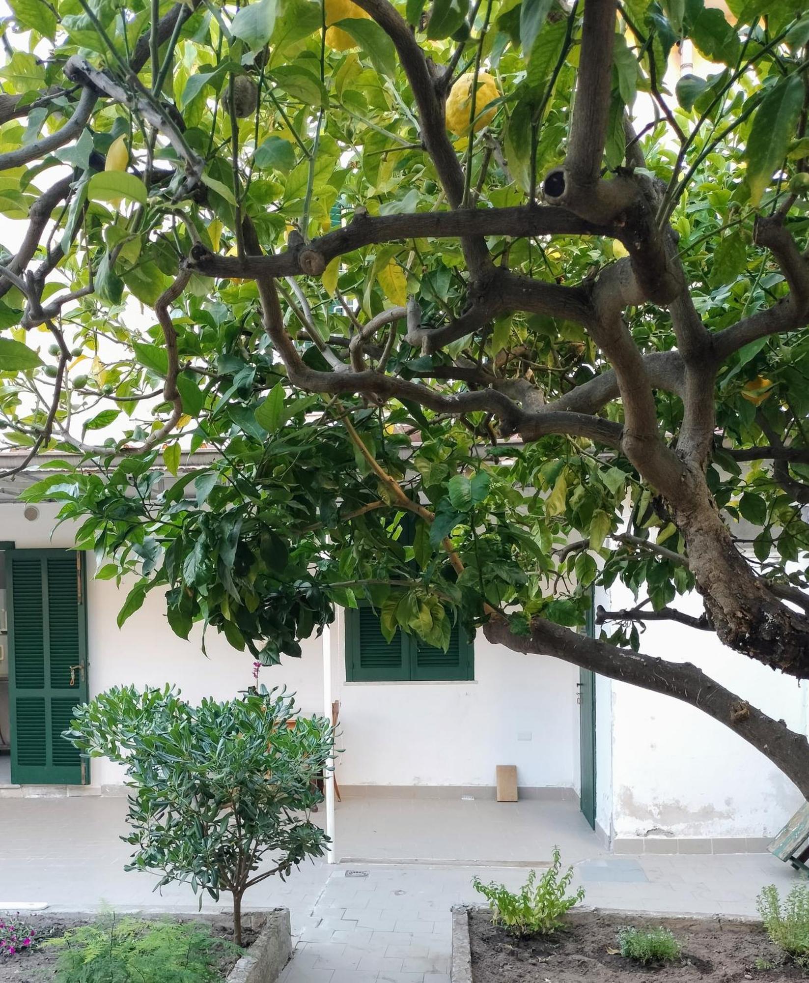 Sunny House Parghelia Exterior foto